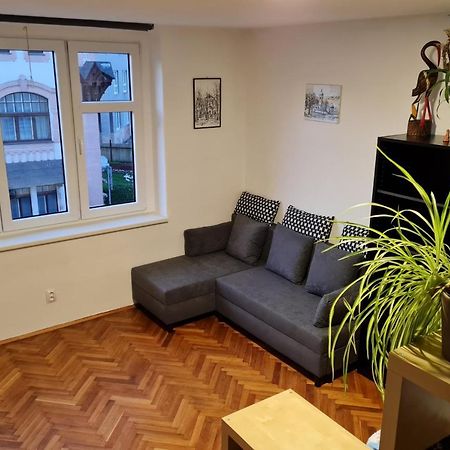 Kousek Do Prirody I Do Centra Apartment Písek Екстериор снимка