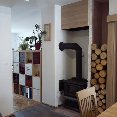 Kousek Do Prirody I Do Centra Apartment Písek Екстериор снимка