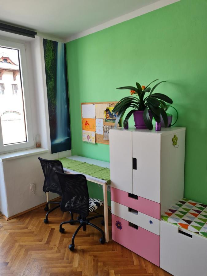Kousek Do Prirody I Do Centra Apartment Písek Екстериор снимка