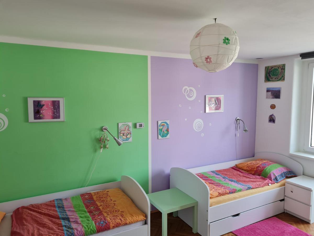 Kousek Do Prirody I Do Centra Apartment Písek Екстериор снимка