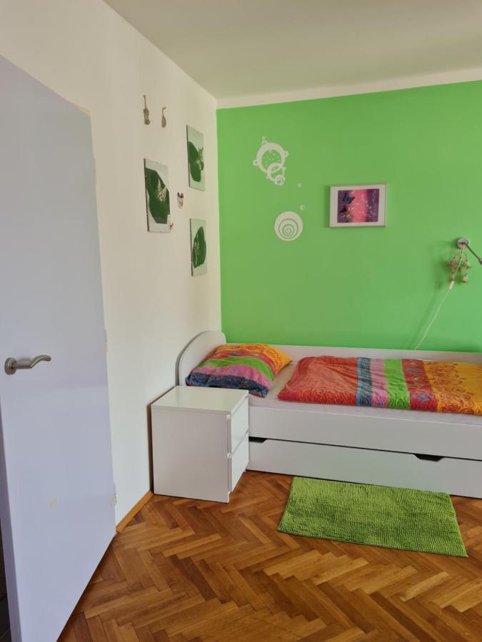 Kousek Do Prirody I Do Centra Apartment Písek Екстериор снимка