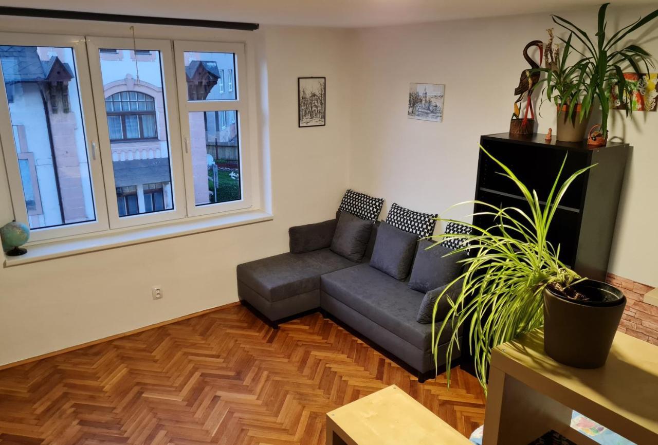 Kousek Do Prirody I Do Centra Apartment Písek Екстериор снимка