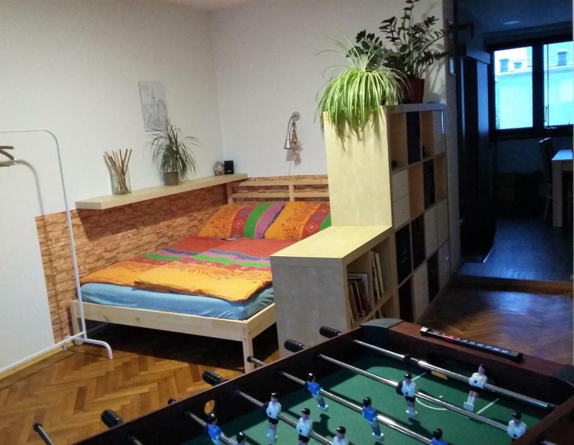 Kousek Do Prirody I Do Centra Apartment Písek Екстериор снимка