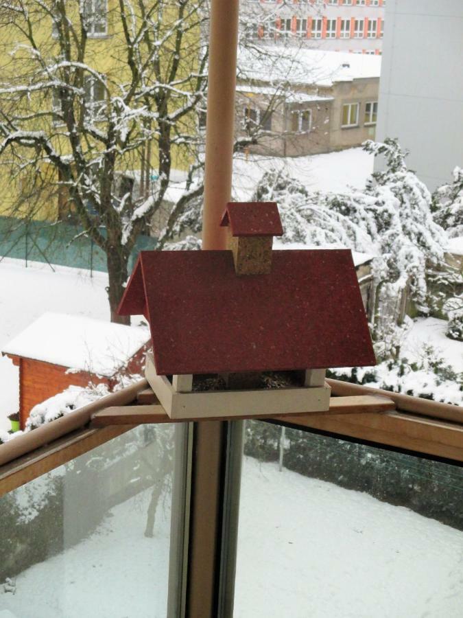 Kousek Do Prirody I Do Centra Apartment Písek Екстериор снимка