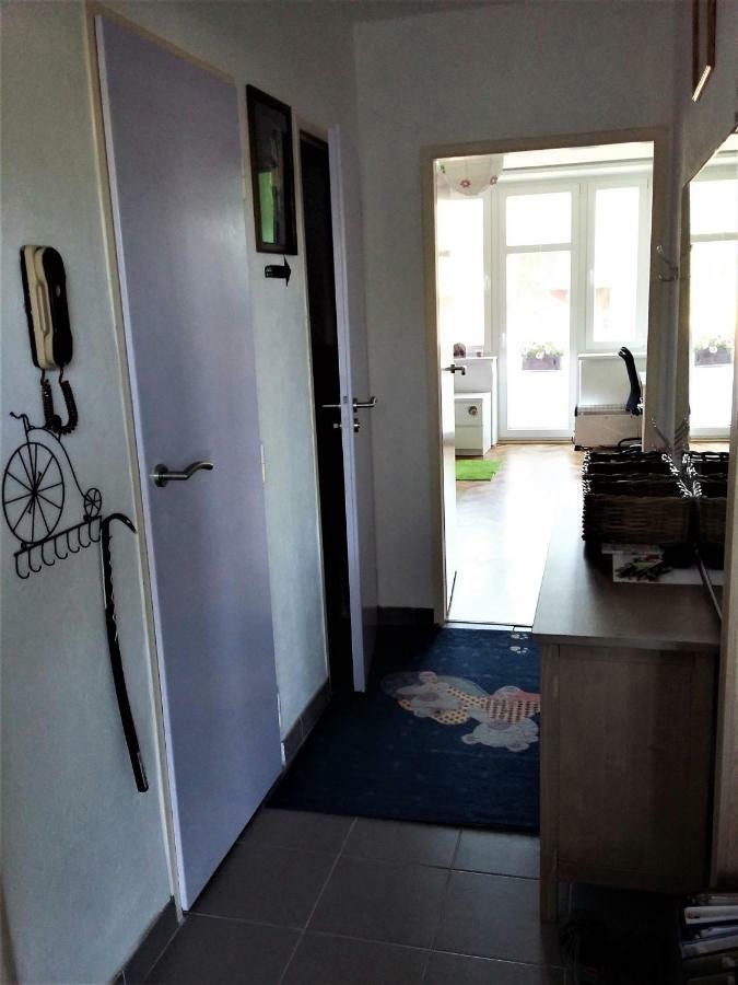 Kousek Do Prirody I Do Centra Apartment Písek Екстериор снимка