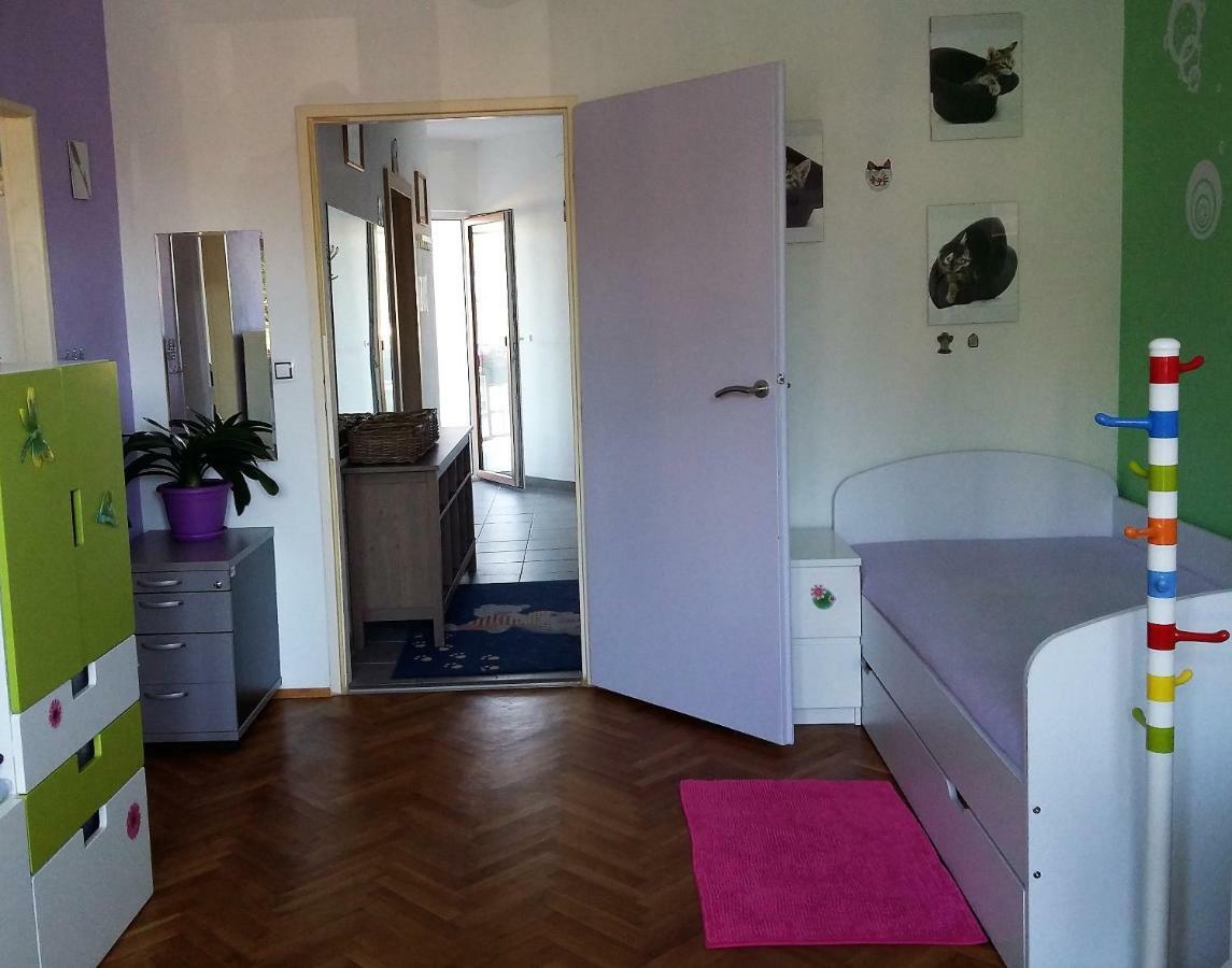 Kousek Do Prirody I Do Centra Apartment Písek Екстериор снимка