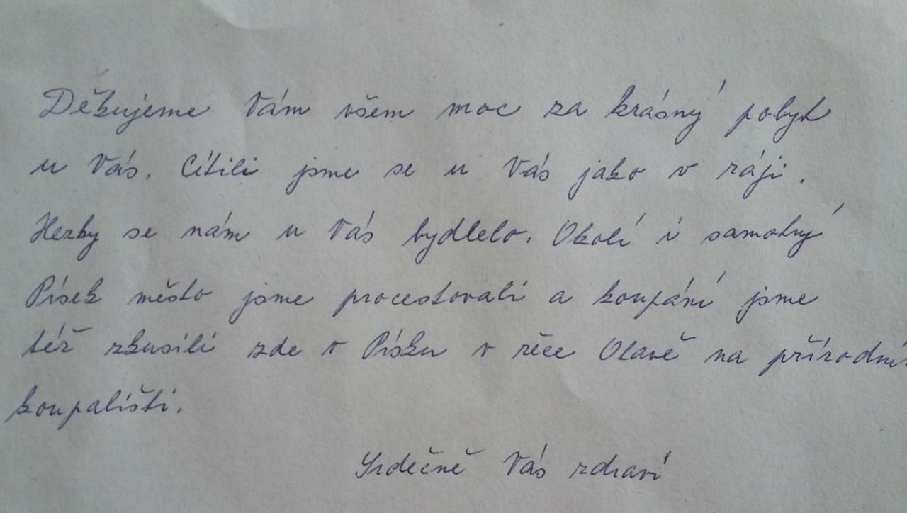Kousek Do Prirody I Do Centra Apartment Písek Екстериор снимка